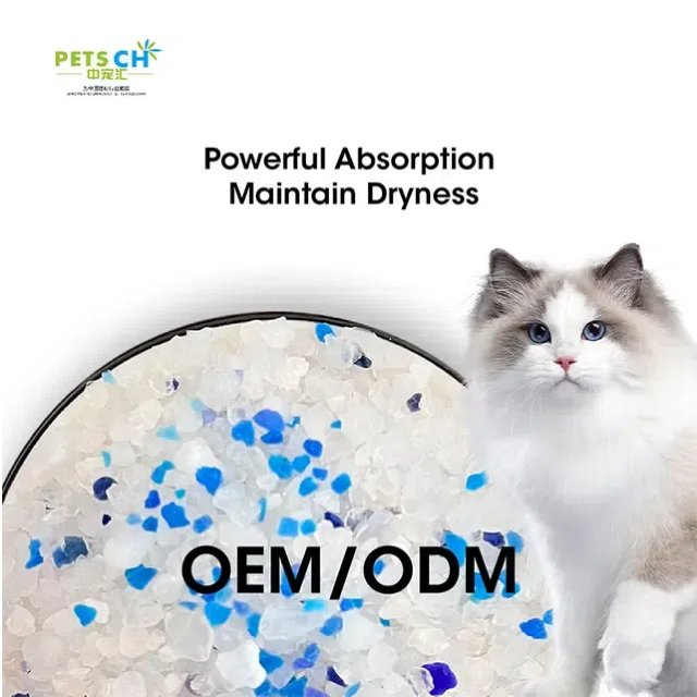 How Does Low Dust Bentonite Cat Litter Protect Cat Health?