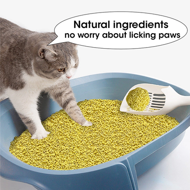 Does Corn Cat Litter Control Odor Effectively?