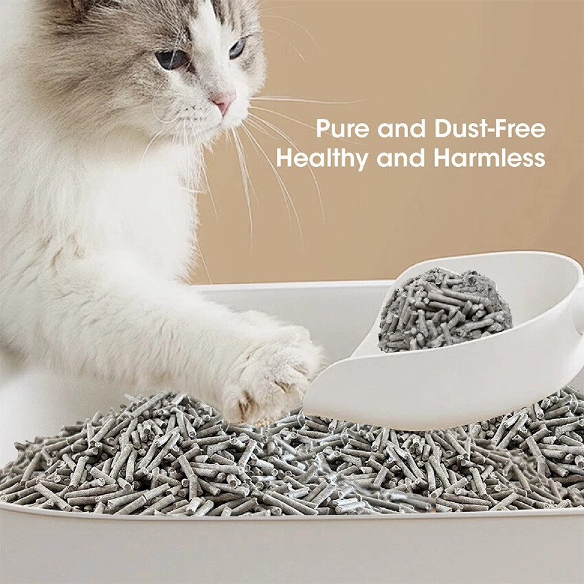 Unscented Activated Carbon Cat Litter