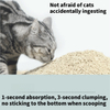 OKY Biodegradable Enzyme Cat Litter with Antibacterial Properties