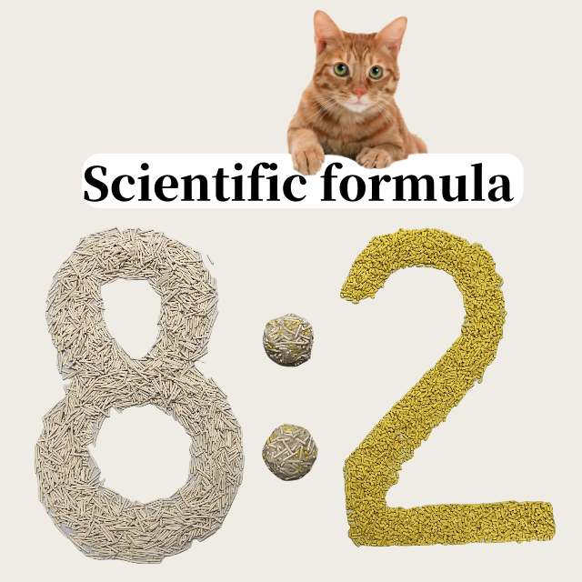 M2-zhutu1.png